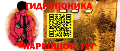 стаф Жуковский