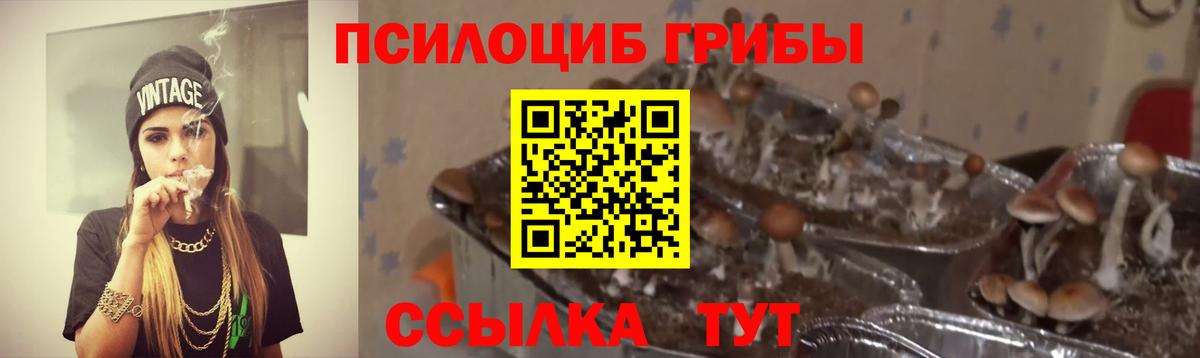 Галлюциногенные грибы Cubensis  Вход с VPN  Курчатов  Псилоцибиновые грибы мухоморы 
